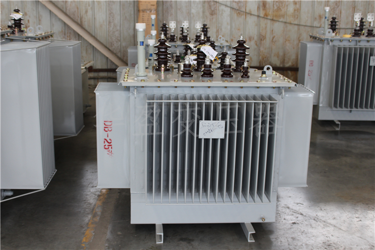 延安S20-800kVA/10kV/0.4kV变压器